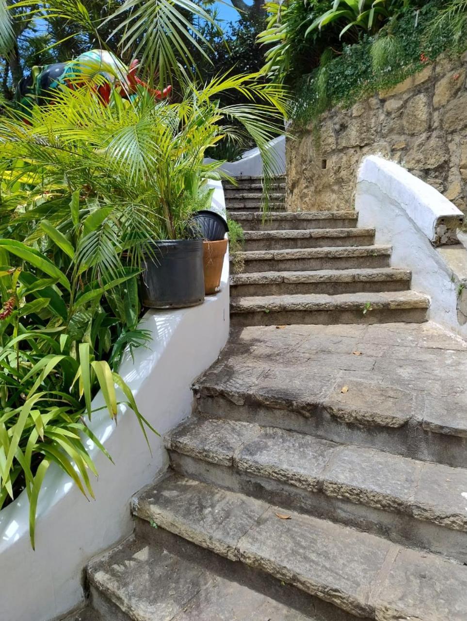 Raro Ipanema Boutique Hotel Rio de Janeiro Exterior photo